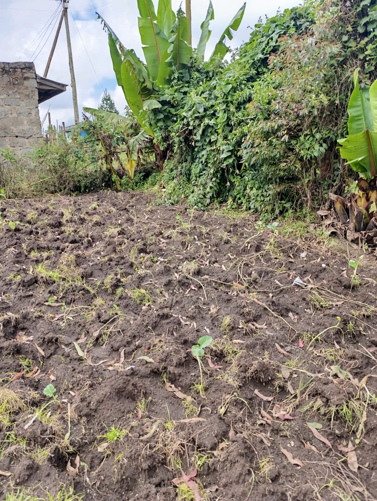 WhatsApp Image 2026-01-09 at 1.45.24 PM