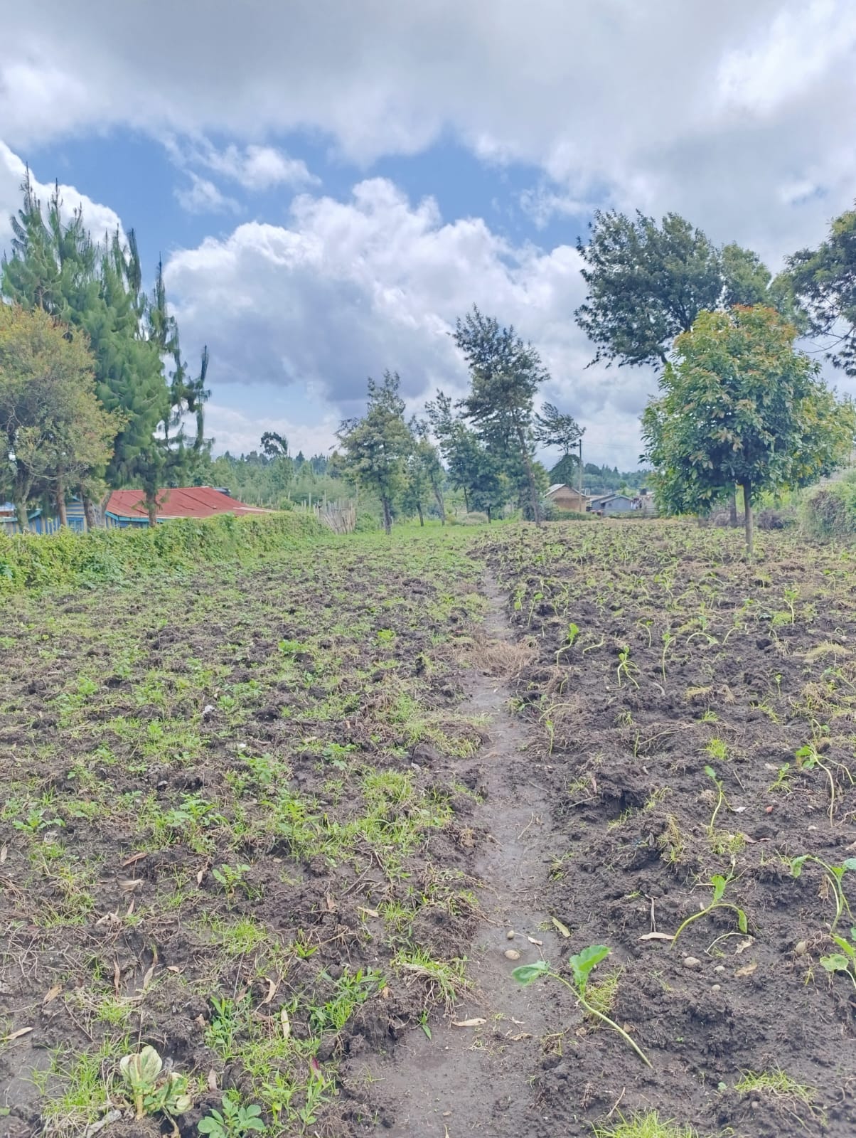 WhatsApp Image 2026-01-09 at 1.45.27 PM