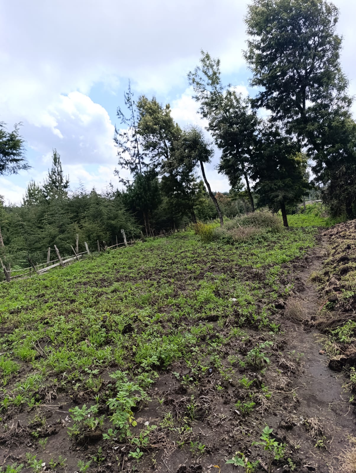 WhatsApp Image 2026-01-09 at 1.45.28 PM