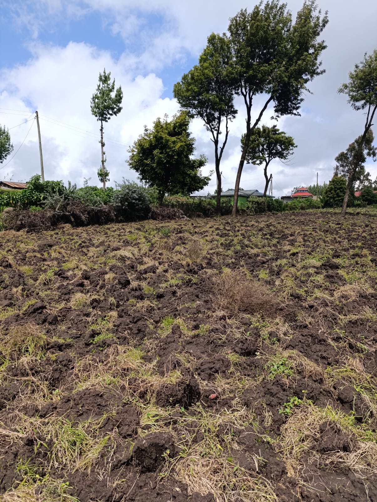 WhatsApp Image 2026-01-09 at 1.45.30 PM