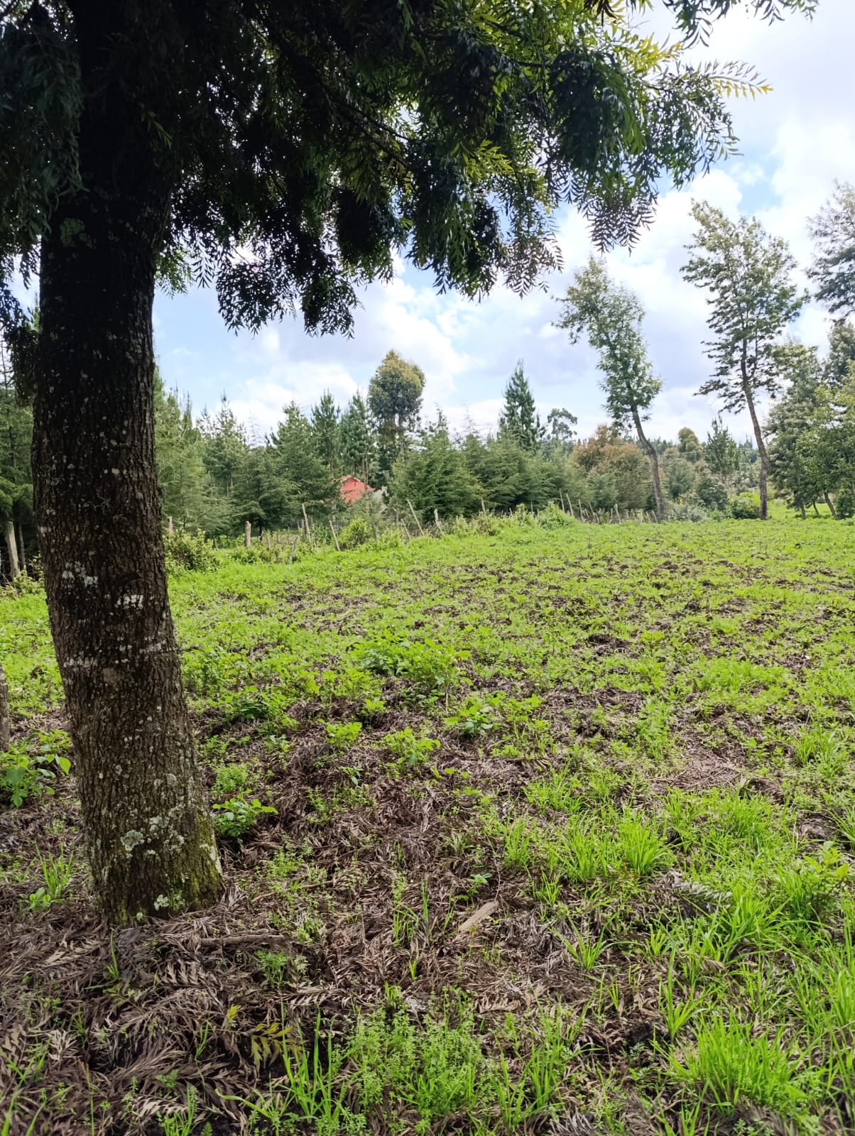 WhatsApp Image 2026-01-09 at 1.45.33 PM