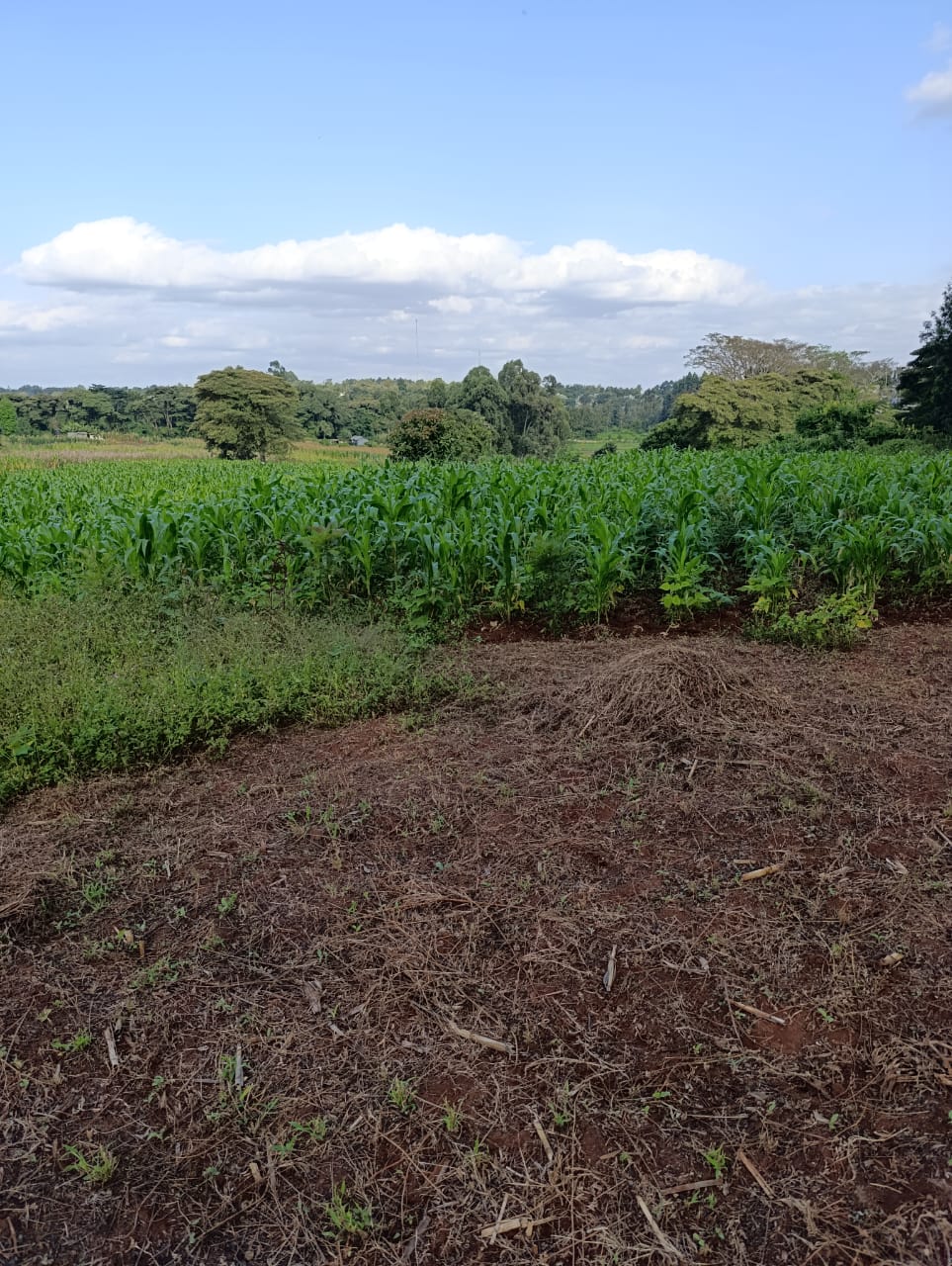 WhatsApp Image 2026-01-09 at 2.01.52 PM