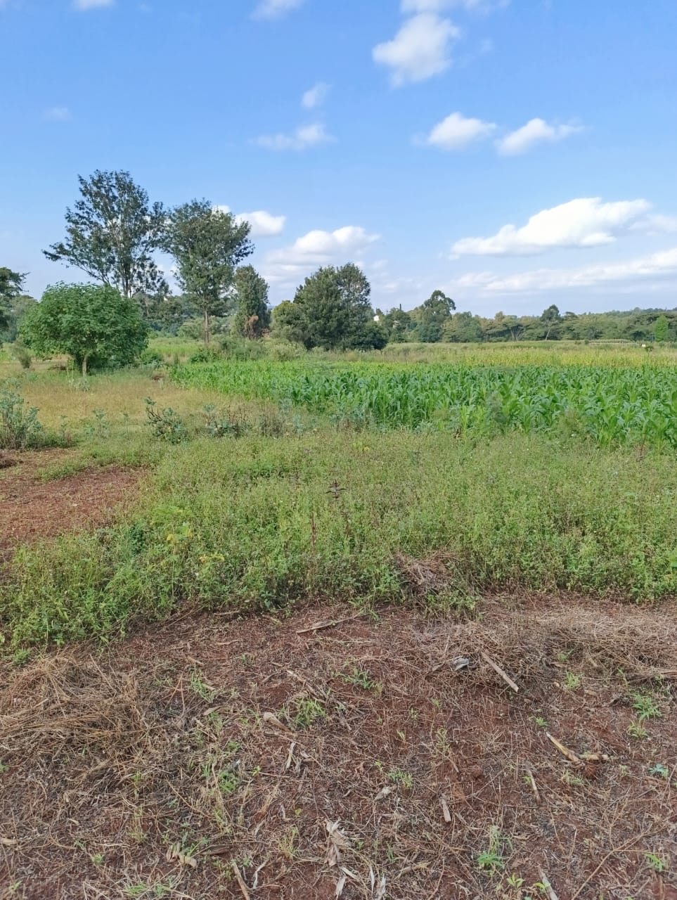 WhatsApp Image 2026-01-09 at 2.01.53 PM