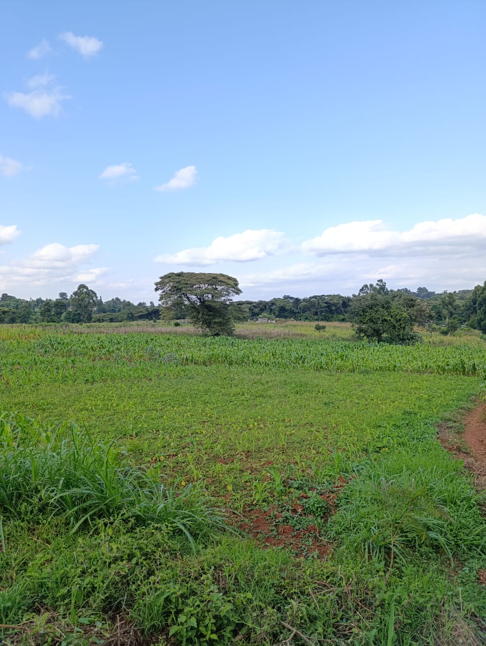 WhatsApp Image 2026-01-09 at 2.02.01 PM