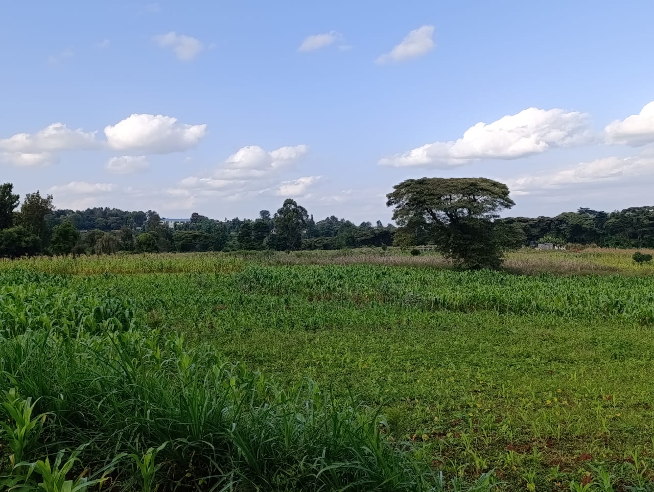 WhatsApp Image 2026-01-09 at 2.02.33 PM