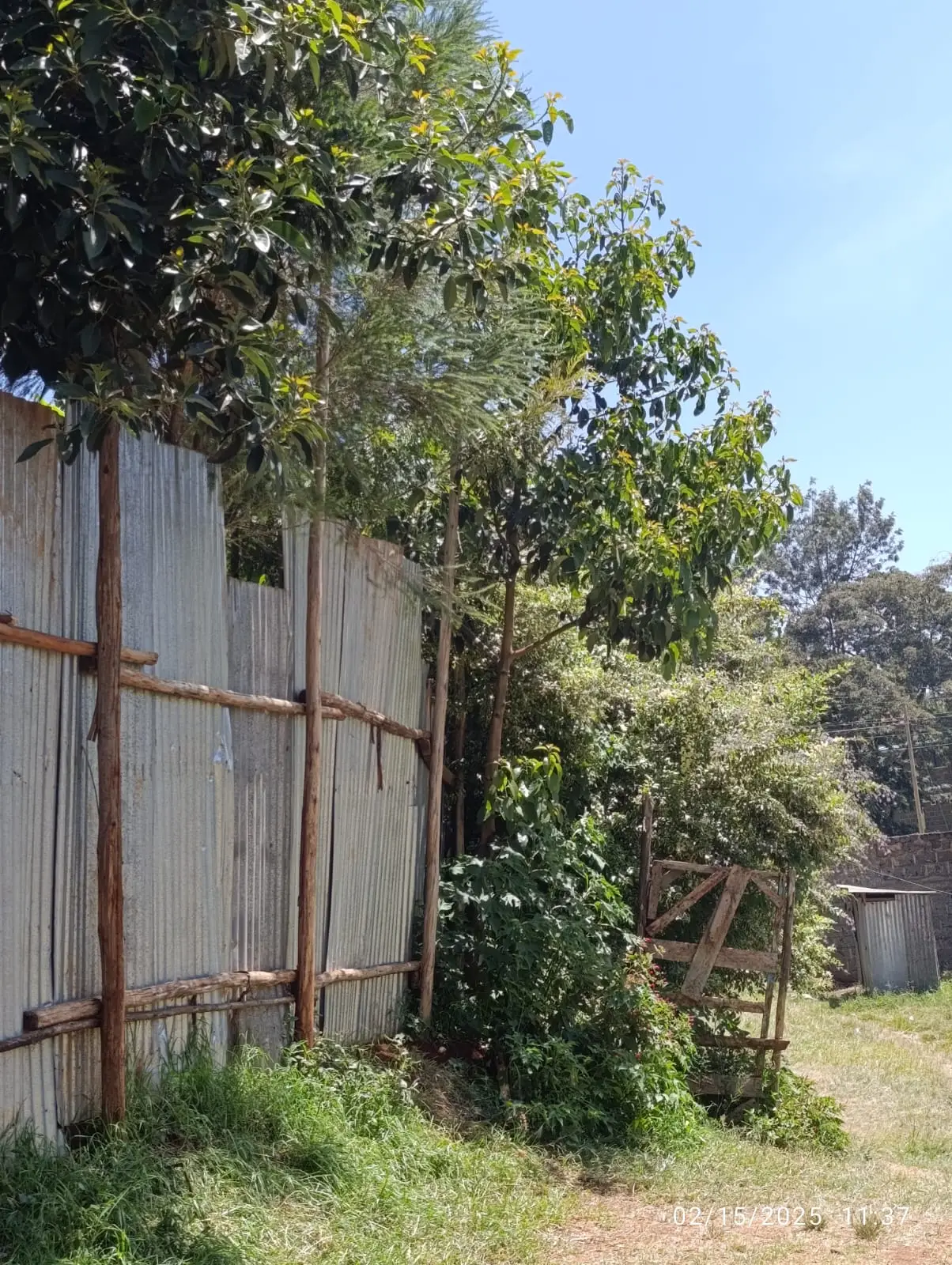 IMG-20250217-WA0109