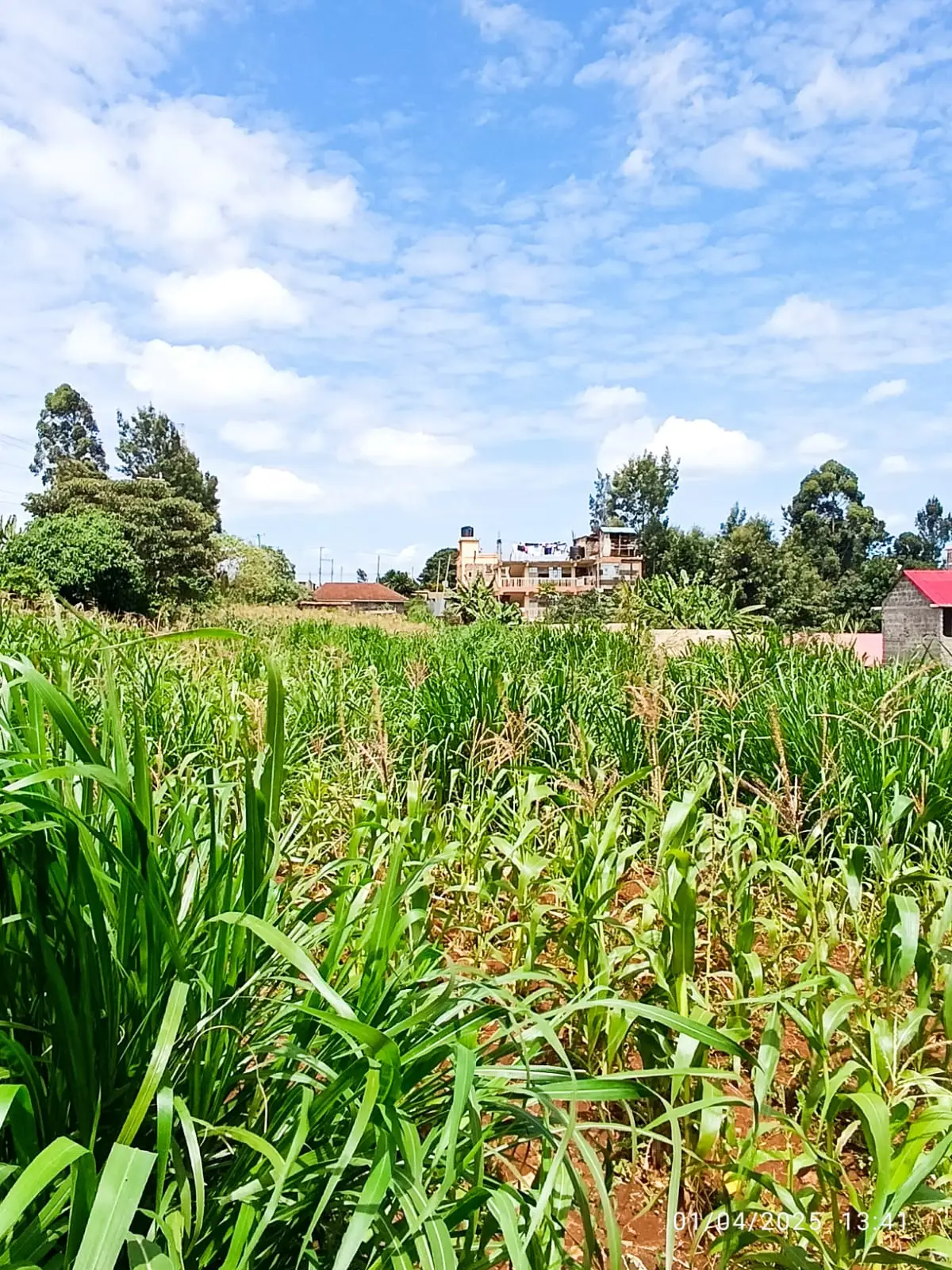 IMG-20250105-WA0173