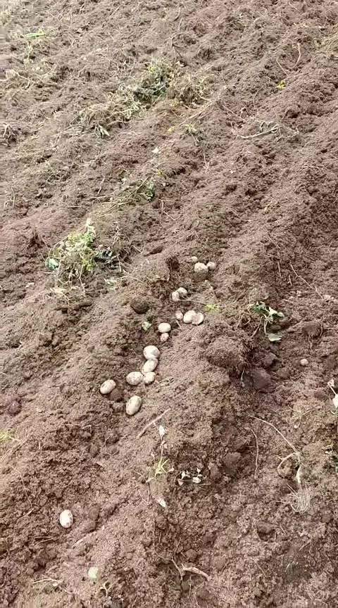 WhatsApp Video 2026-01-09 at 2.07.31 PM0003