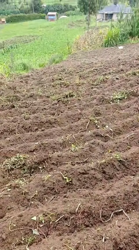 WhatsApp Video 2026-01-09 at 2.07.31 PM0075
