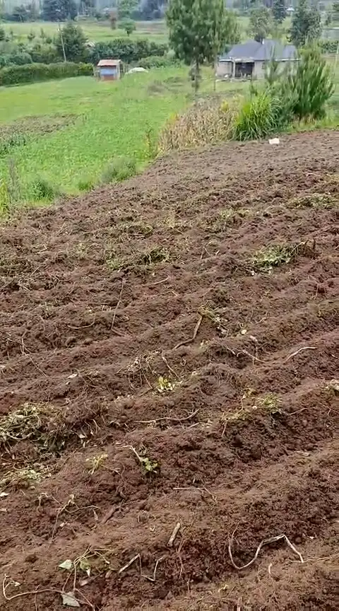 WhatsApp Video 2026-01-09 at 2.07.31 PM0101