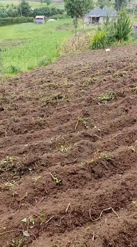 WhatsApp Video 2026-01-09 at 2.07.31 PM0137