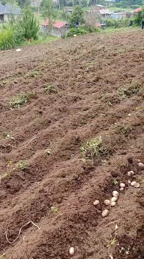 WhatsApp Video 2026-01-09 at 2.07.31 PM0300