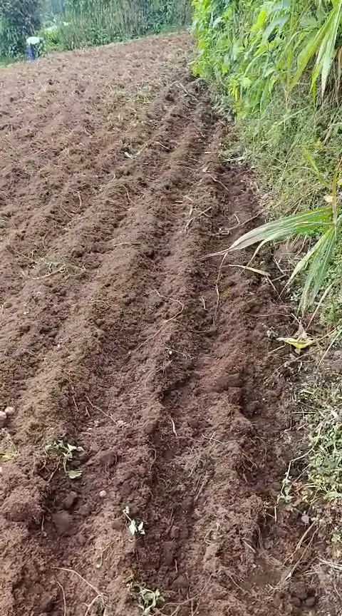 WhatsApp Video 2026-01-09 at 2.07.31 PM0443