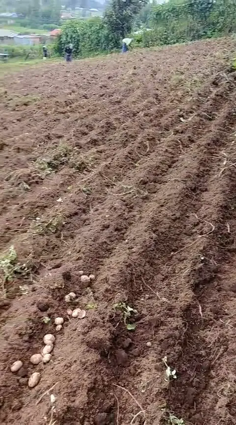 WhatsApp Video 2026-01-09 at 2.07.31 PM0555
