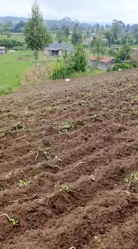 WhatsApp Video 2026-01-09 at 2.07.31 PM0594