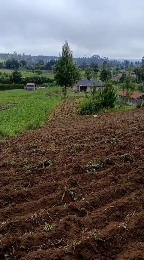 WhatsApp Video 2026-01-09 at 2.07.31 PM0637