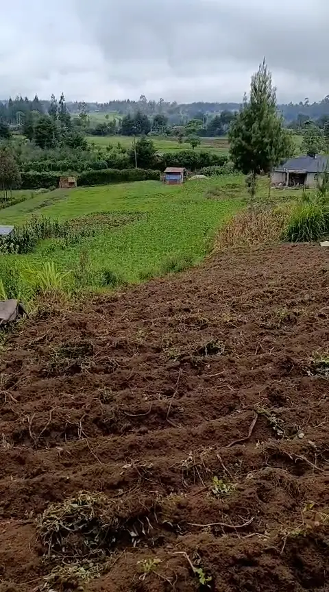 WhatsApp Video 2026-01-09 at 2.07.31 PM0739