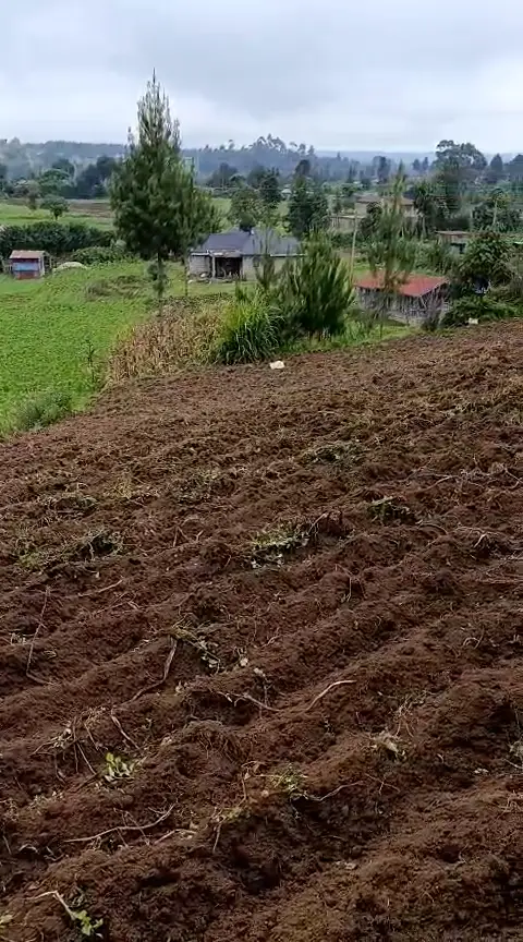 WhatsApp Video 2026-01-09 at 2.07.31 PM0813