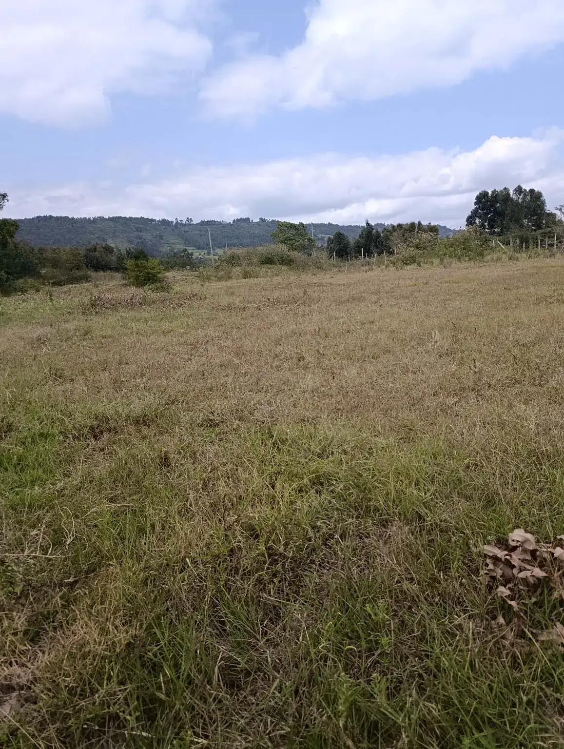 SF-IMG_20260707_134501-Converted