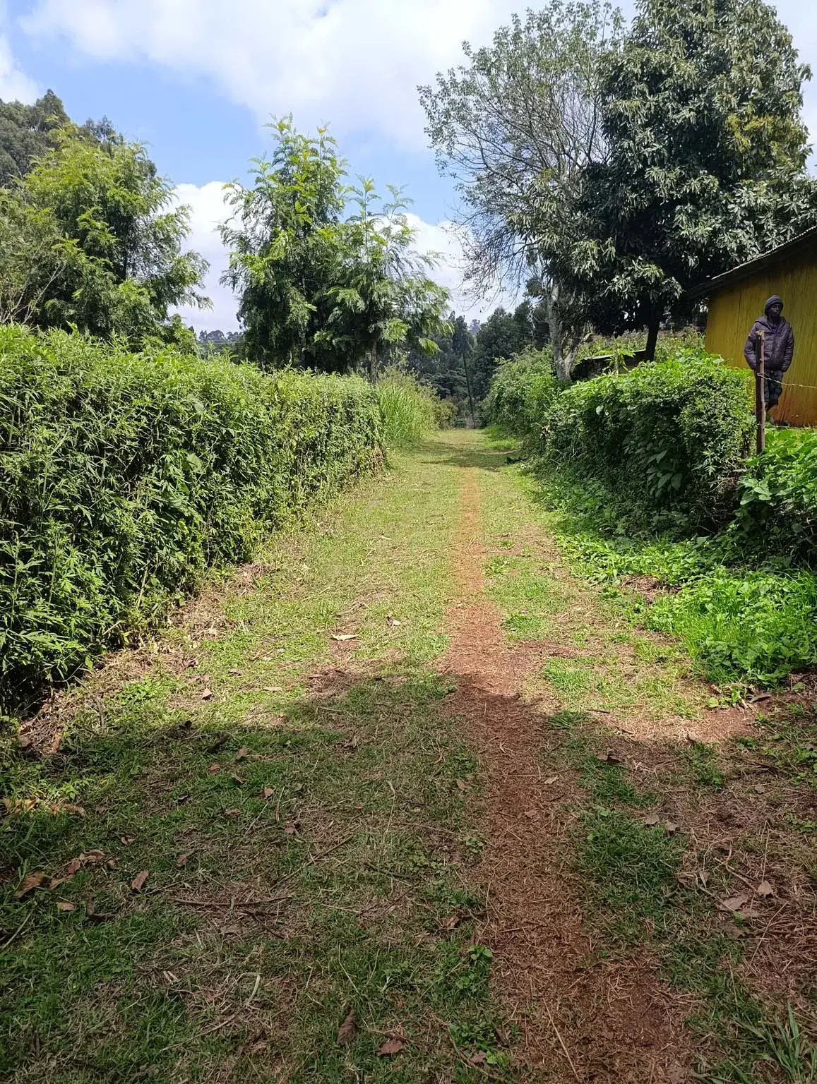 Smartfocus – Ngecha – Chunga Mali Rd, 50×100 ft – Kes 4M – P6 -19-7.26