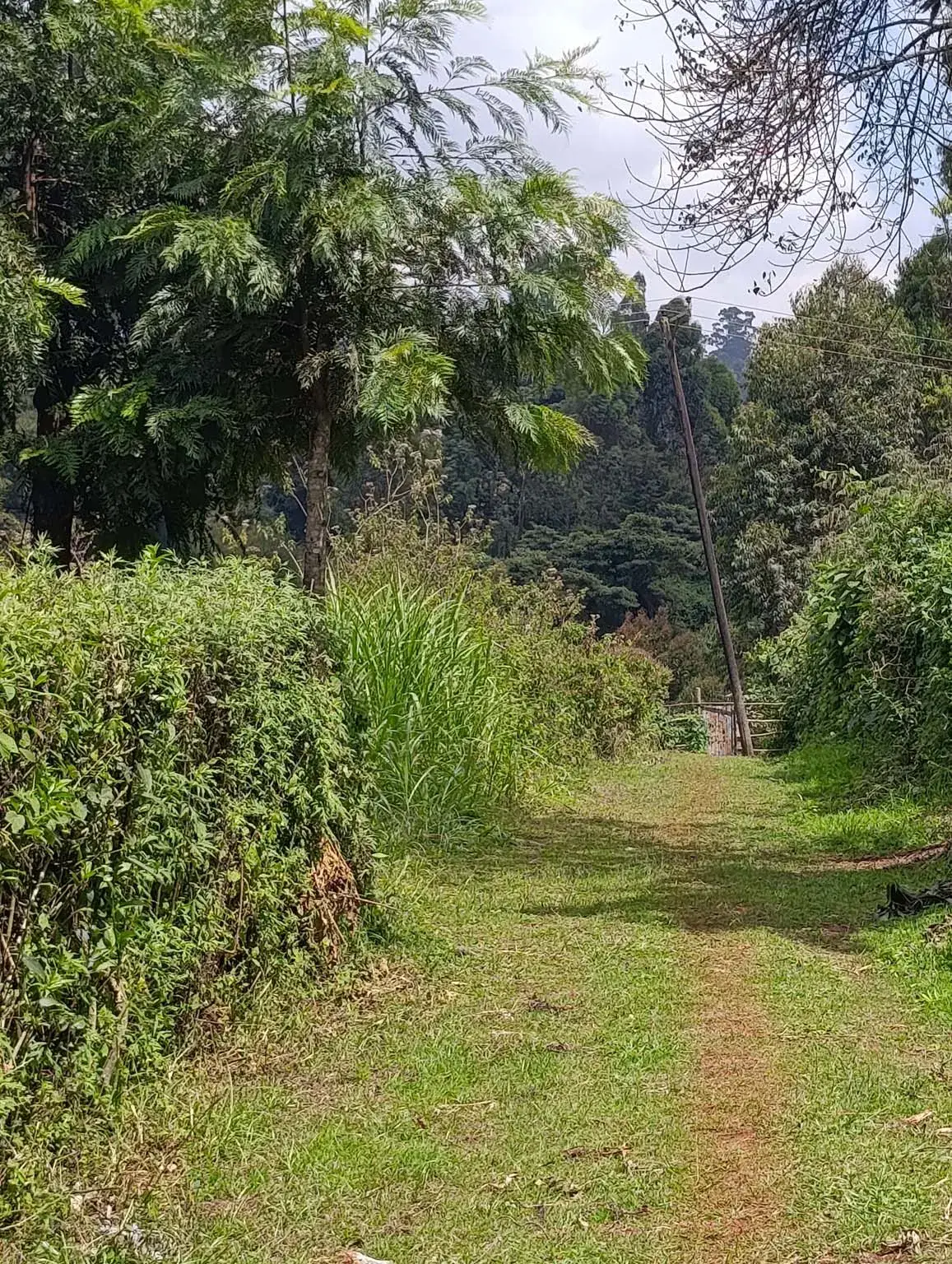 Smartfocus – Ngecha – Chunga Mali Rd, 50×100 ft – Kes 4M – P6 -20-7.26