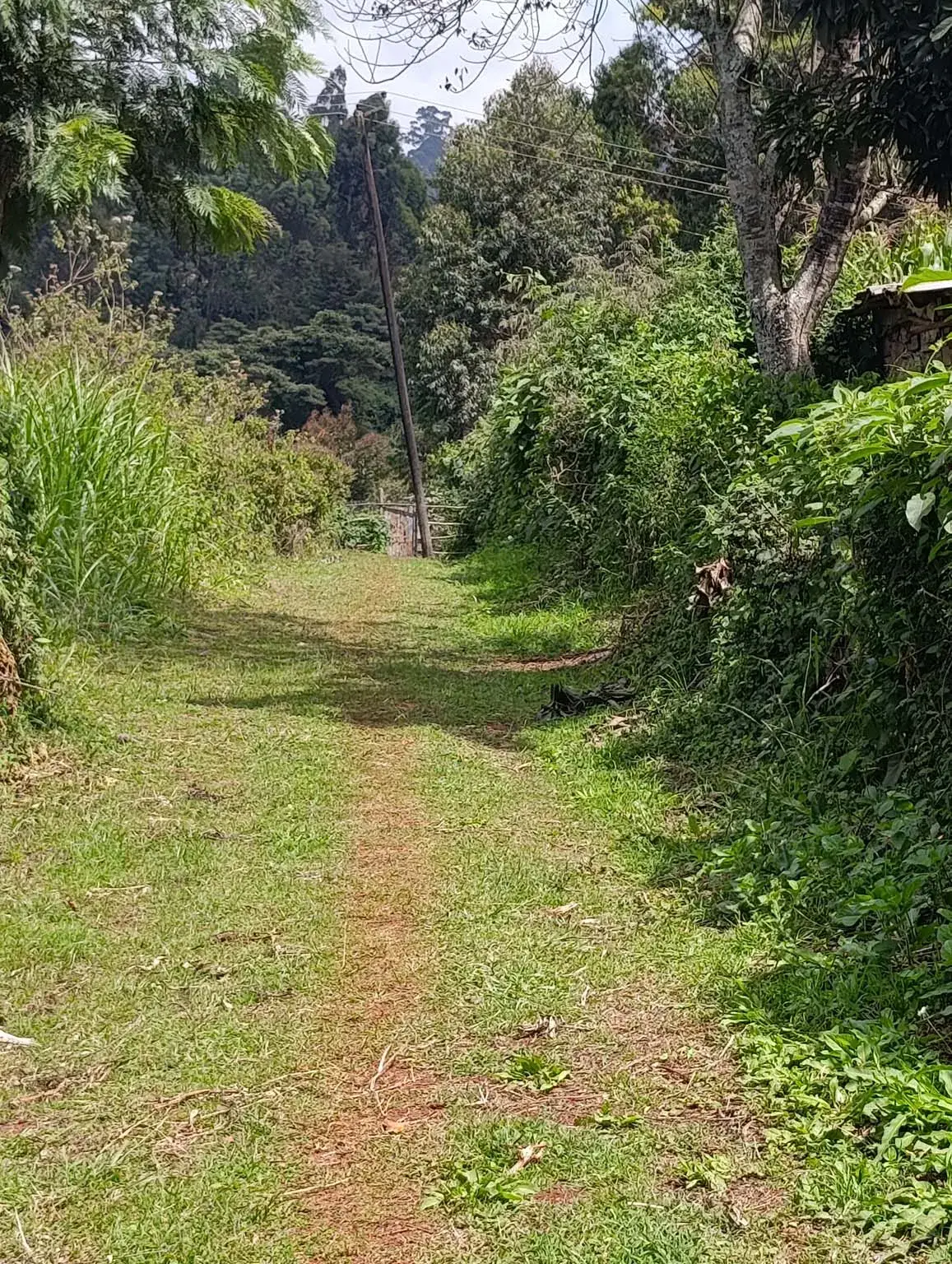 Smartfocus – Ngecha – Chunga Mali Rd, 50×100 ft – Kes 4M – P6 -21-7.26
