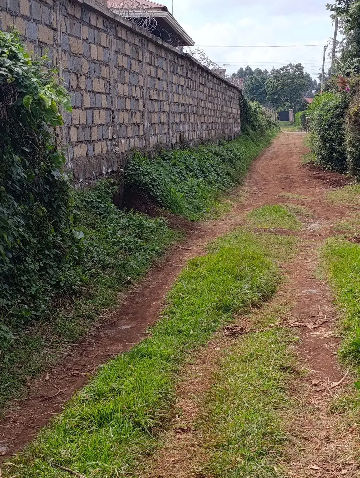 Smartfocus – Ngecha – Chunga Mali Rd, 50×100 ft – Kes 4M – P6 -24-7.26