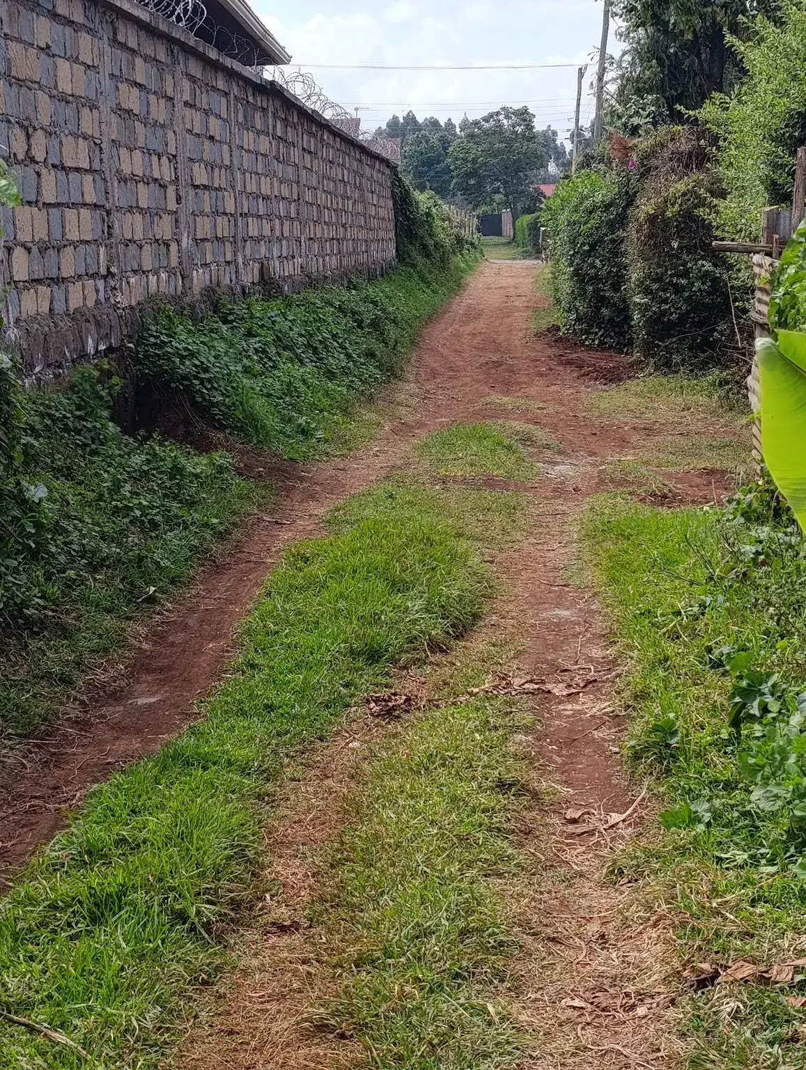 Smartfocus – Ngecha – Chunga Mali Rd, 50×100 ft – Kes 4M – P6 -25-7.26