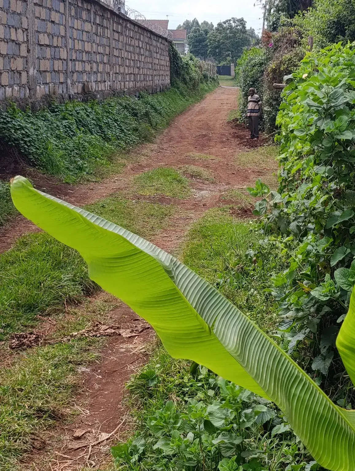 Smartfocus – Ngecha – Chunga Mali Rd, 50×100 ft – Kes 4M – P6 -26-7.26