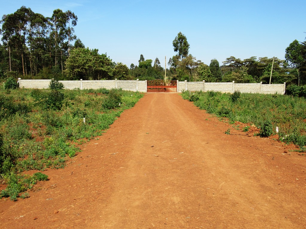 beverly-gardens-kikuyu2