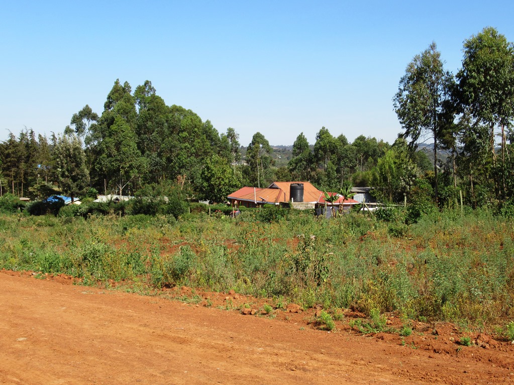 beverly-gardens-kikuyu4