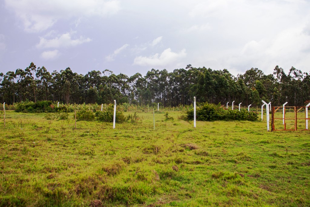 hill-view-gardens-kisumu3