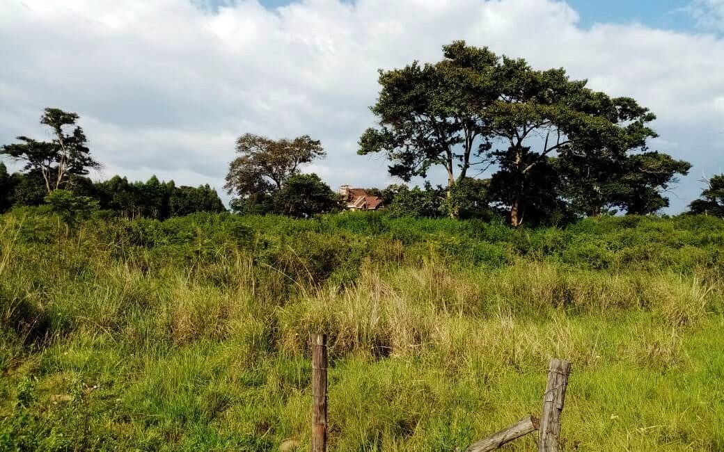 twinmount-plots-in-nyeri1