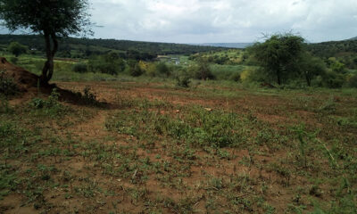 Wamunyu Plot- Machakos