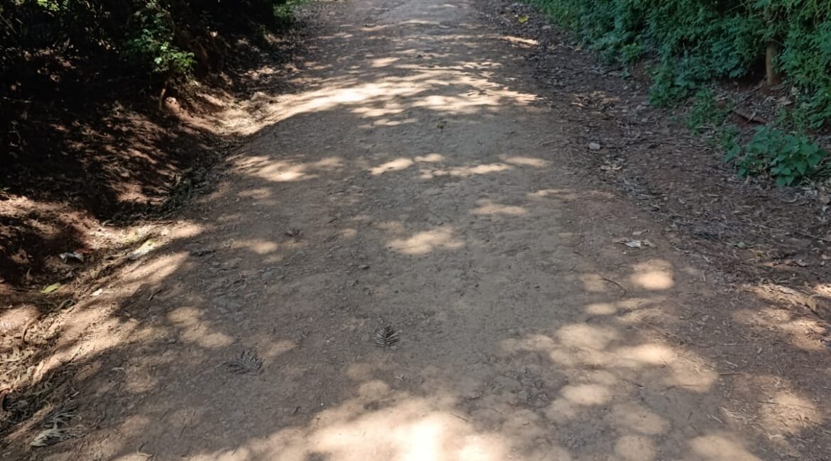 IMG-20250217-WA0151